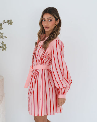 Josiane Pink Stripe Dress | Women's Striped Shirt Dress