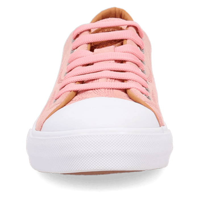 PRODUCT SHOT CAMPUS SNEAKER AT FRONT ANGLE